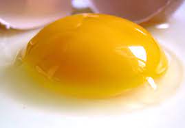 All you need to know about egg yolk